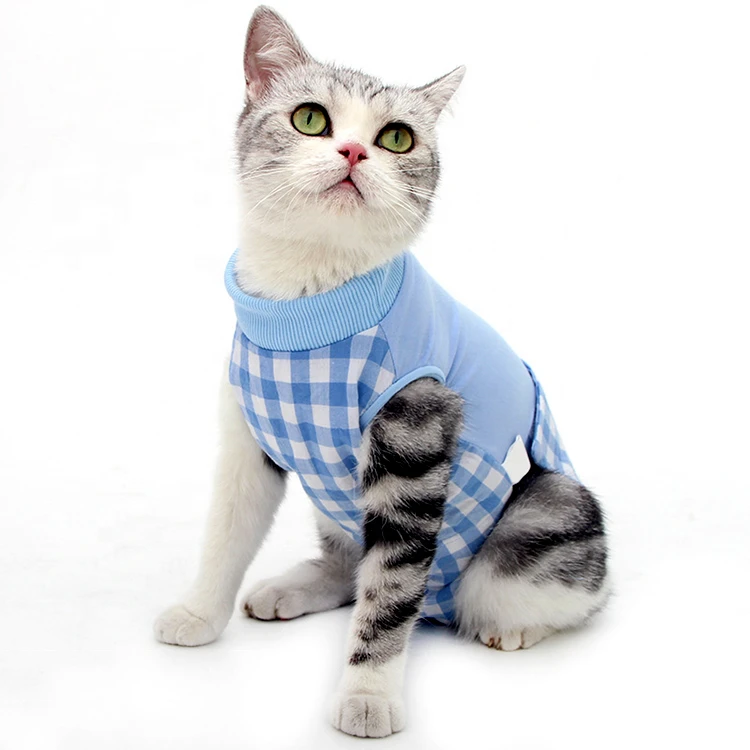 cat wear cat wear