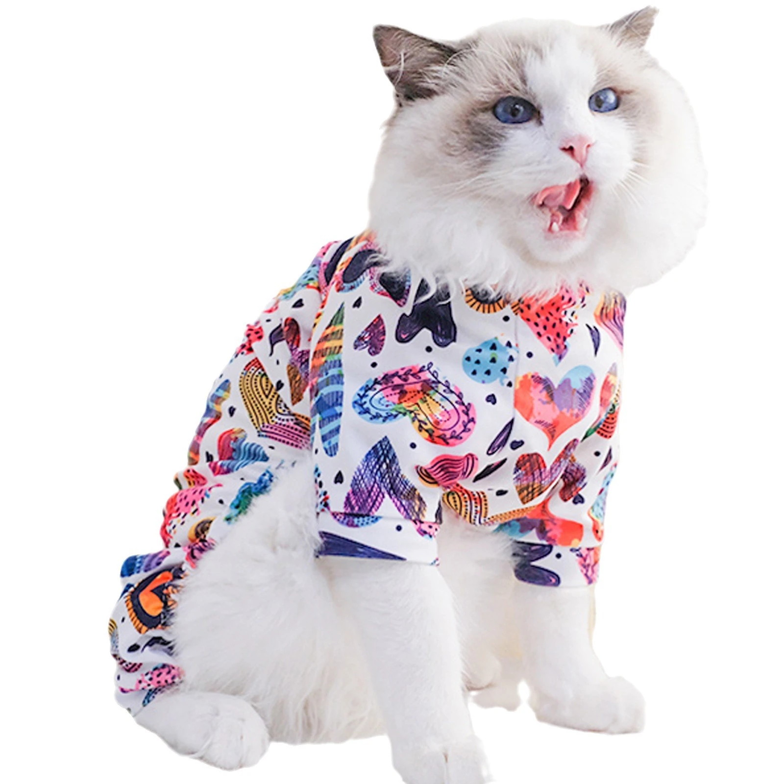 cat wear cat wear