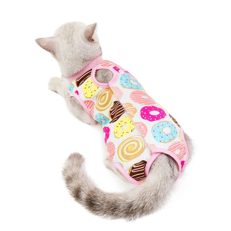 cat wear cat wear